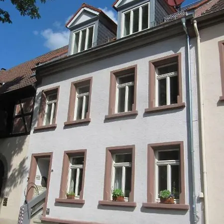 Zwischen-Rhein-Und-Reben, Zentral, Barrierefrei Apartment Speyer Exterior photo