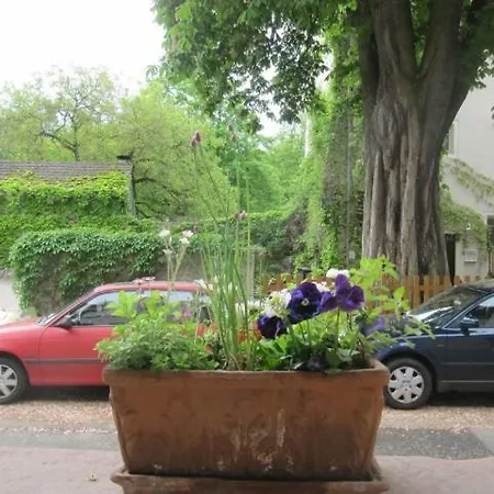 Zwischen-Rhein-Und-Reben, Zentral, Barrierefrei Apartment Speyer Exterior photo