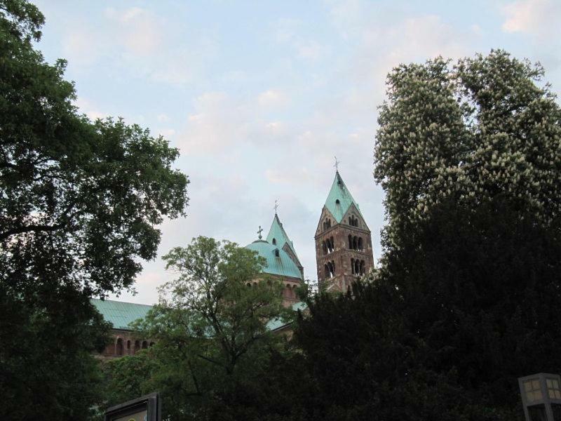 Zwischen-rhein-und-reben, Zentral, Barrierefrei Apartment